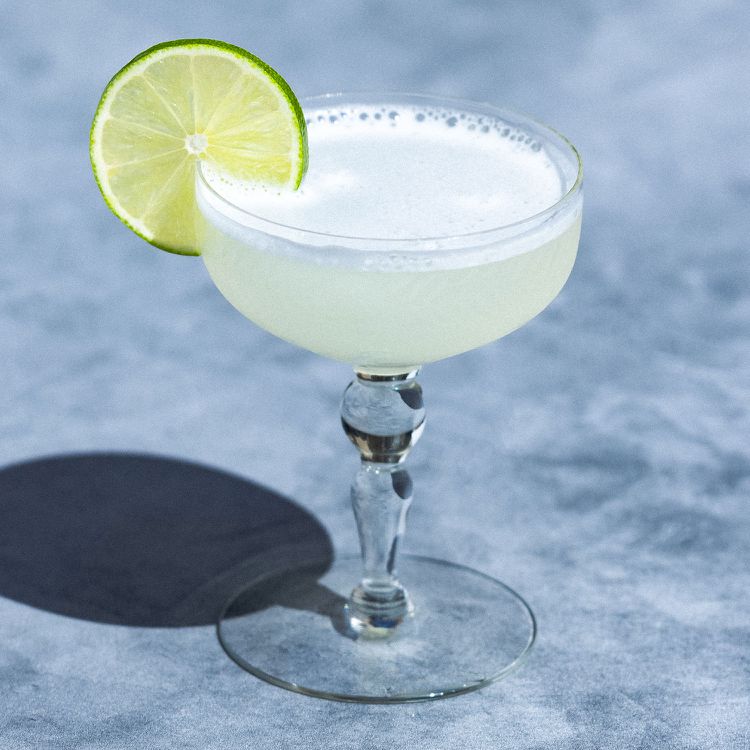 Gimlet cocktail